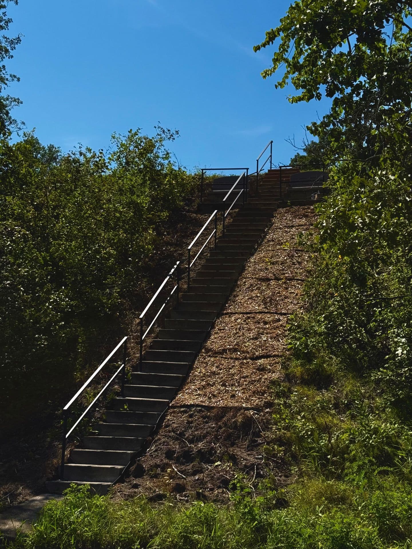 Sturdy Railing Installation on Wolflake image